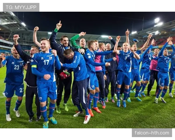 冰岛2016欧锦赛奇迹